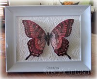 Framed-Butterfly-2